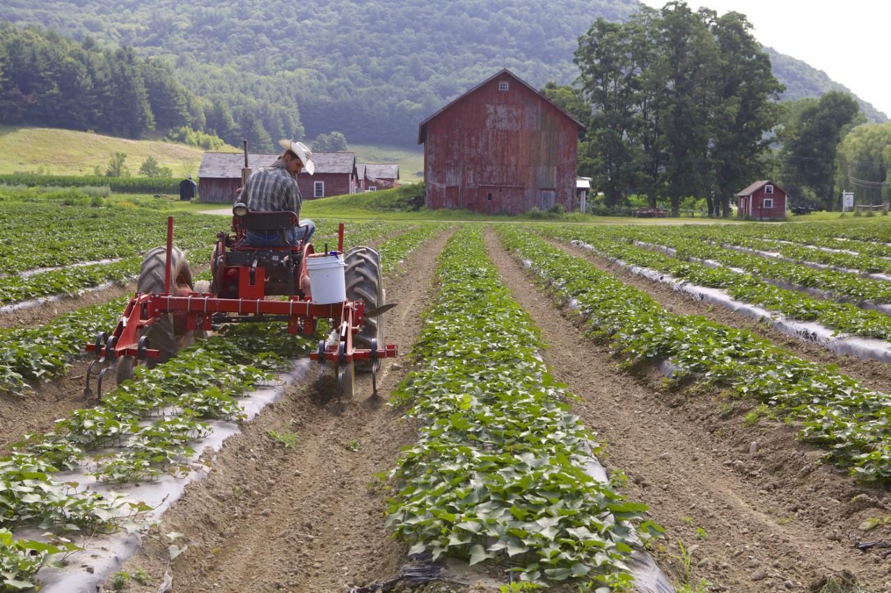 How John Deere's earnings reflect farming economy - Marketplace